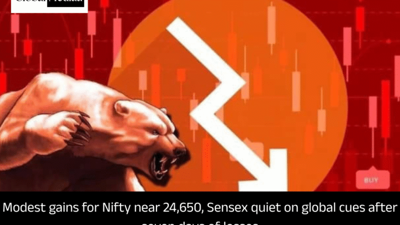 Modest gains for Nifty near 24,650, Sensex quiet on global cues after seven days of losses