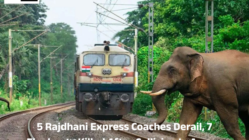 5 Rajdhani Express Coaches Derail, 7 Elephants Killed After Collision In Assam