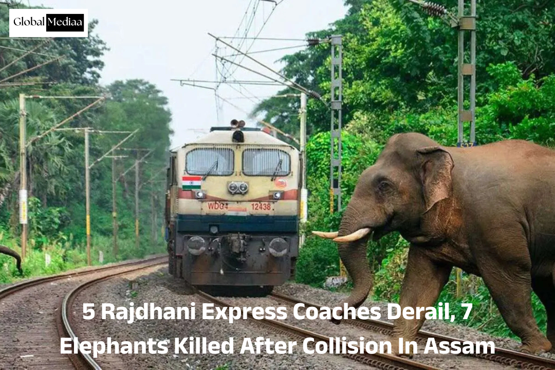 5 Rajdhani Express Coaches Derail, 7 Elephants Killed After Collision In Assam