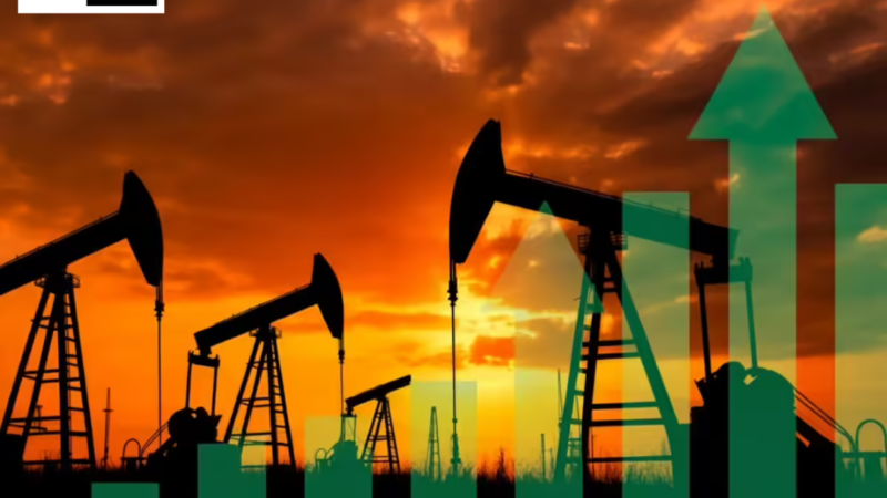 Iran-Israel war : India’s non-Hormuz crude sourcing has increased to 70% of imports, says Oil Minister