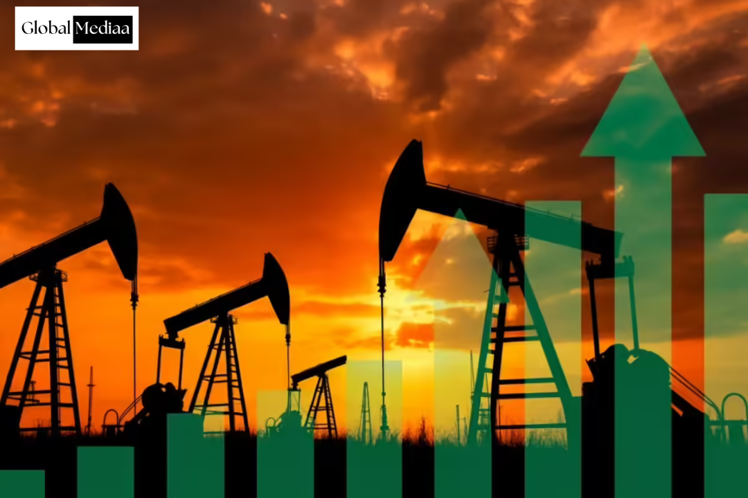 Iran-Israel war : India’s non-Hormuz crude sourcing has increased to 70% of imports, says Oil Minister