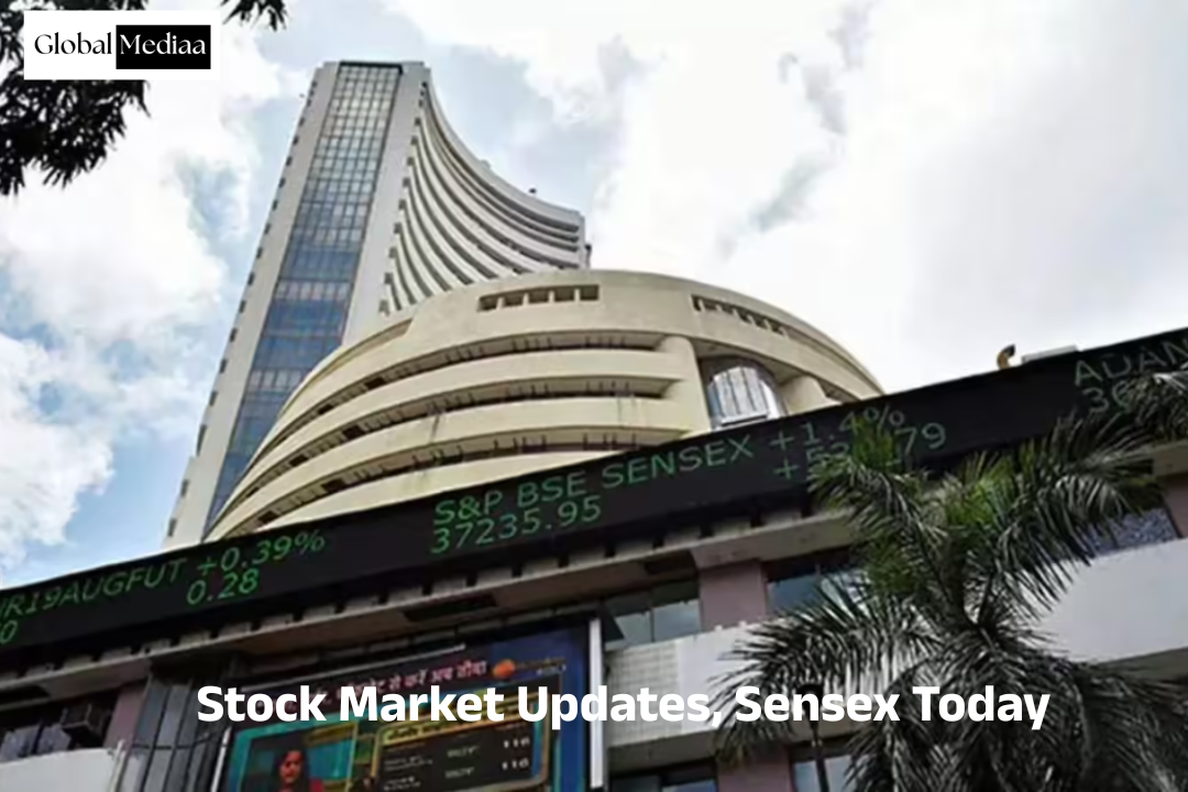 Stock Market  Updates, Sensex Today: Sensex Jumps 1,000 Points, Nifty Up 300 As Oil Prices Drop