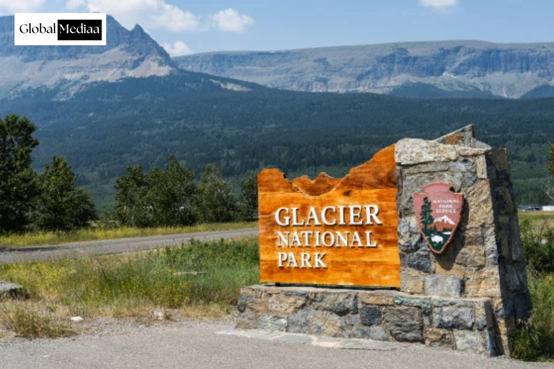 Missing Hiker Found Dead After Suspected Bear Attack in Montana’s Glacier National Park